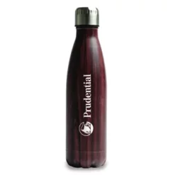 Promotional ACE Double Wall Stainless Steel Travel Bottle -cup shop v1 3