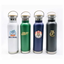 Promotional 20 Oz Double Wall SS Vacuum Bottle