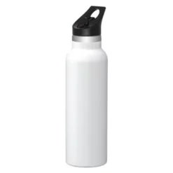 Golden Promotional Colson 20 Oz Vacuum Insulated Water Bottle W/Straw Lid -cup shop v12 12