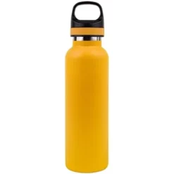 CALIBER Promotional Embark Water Bottle & Twist Off Cap With Handle 20 Oz -cup shop v17 7