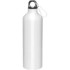 Promotional 24 Oz H2go Aluminum Classic - Silver
