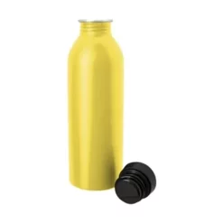 Bic Promotional 17 Oz Vivid Aluminum Bottle -cup shop v4 384