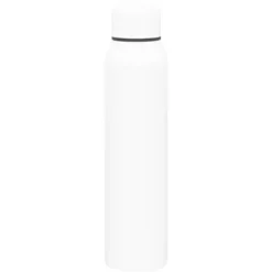 Promotional 16.9 Oz H2go Silo - Powder - Matte White -cup shop v4 523