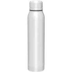 Promotional 16.9 Oz H2go Silo - Stainless -cup shop v5 344