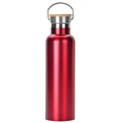 Promotional 20 Oz Stainless Steel Water Bottle With Screw-on Bamboo Lid -cup shop v6 91